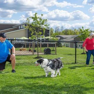 A couple enjoying time with a dog in a fenced park area on a sunny day.