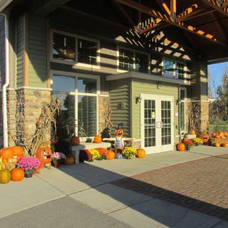A building entrance decorated with pumpkins and autumn-themed decor in bright sunlight.