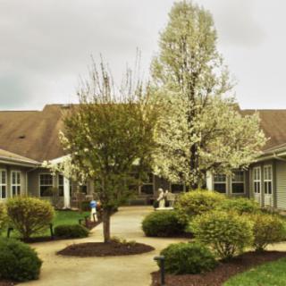 A charming courtyard with blooming trees and neatly landscaped bushes.