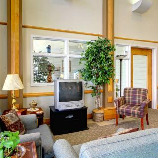 A cozy living room with a television, sofa, armchair, and decorative plants.
