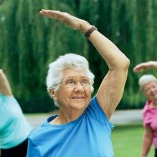 A group of seniors enjoying an outdoor stretching exercise.