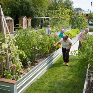 A group of people tending to plants in a community garden with raised beds.