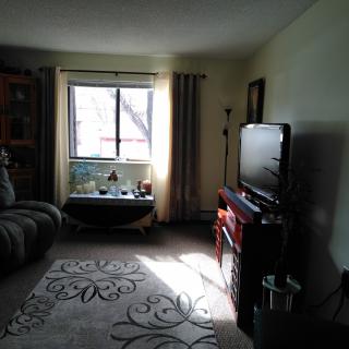 A cozy living room with a sofa, television, and a large window bringing in natural light.