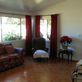 A cozy living room with a sofa, armchair, and a poinsettia on a small table by the window.