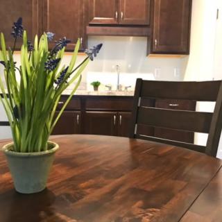 A cozy kitchen setting with a wooden table and a potted plant centerpiece.