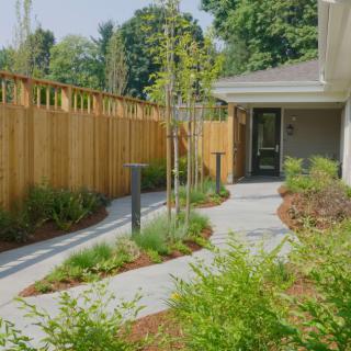 A neatly landscaped garden with a winding pathway and wooden fencing.