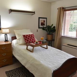 A cozy and well-decorated bedroom featuring a single bed, bedside table with a lamp, and a houseplant by the window.