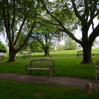 A serene park scene featuring lush green trees and benches inviting relaxation.