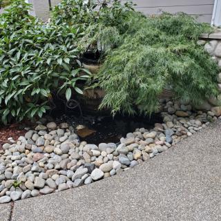 A serene garden corner with lush greenery and a pebble-lined path.