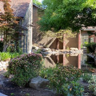 A serene garden with a pond reflecting nearby structures and lush greenery.