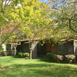 A serene house surrounded by lush green trees and a well-maintained garden.