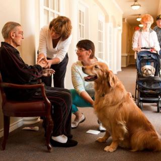 A heartwarming scene at a nursing home where an elderly man enjoys the company of visitors and a friendly dog.