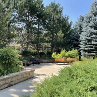 A serene garden pathway surrounded by lush greenery and tall trees.