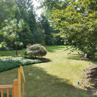 A serene view of a landscaped garden with lush greenery and trees.