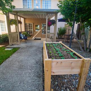 A backyard patio with a wooden raised garden bed filled with green plants.