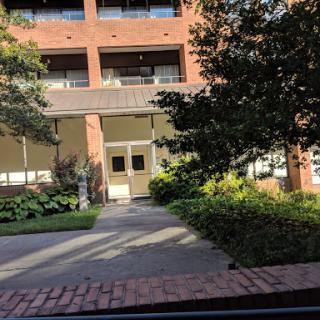A view of a building entrance surrounded by lush greenery and a paved pathway.
