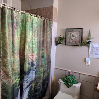 A serene bathroom featuring a nature-themed shower curtain and decorative elements.