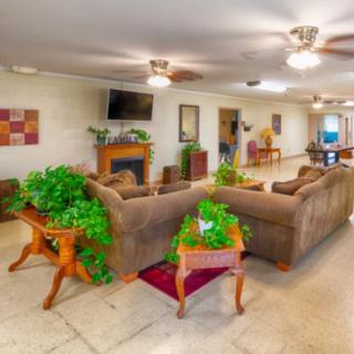 A cozy living room with sofas, a fireplace, and indoor plants.