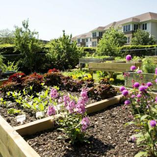 A well-maintained garden with raised beds, featuring a variety of vegetables and blooming flowers.