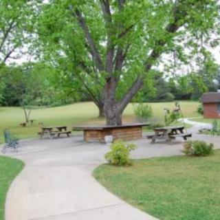 A scenic view of a park with picnic tables under a large tree and a winding pathway.