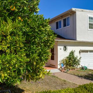 A suburban house with a garage and a large tree in the front yard on a sunny day.