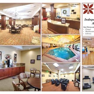 Collage of hotel amenities including dining area, reception, swimming pool, conference room, and gym.
