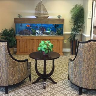 A cozy living room setup with two chairs facing an aquarium, a small table, and indoor plants.