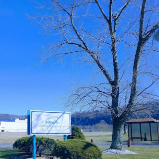 A serene landscape featuring a bare tree beside a bus stop under a clear blue sky.