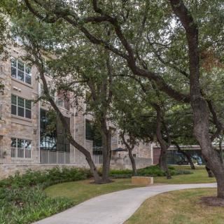 A scenic pathway lined with trees leading to a building.