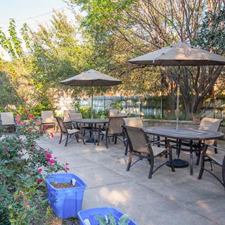 An inviting outdoor patio area with tables, chairs, and umbrellas surrounded by lush greenery.