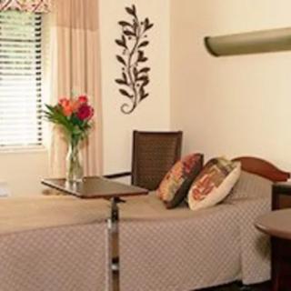 A cozy room featuring a neatly made bed, decorative pillows, and a vase of flowers by the window.