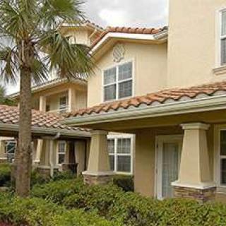 Windward Palms