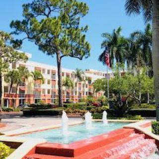 A scenic view of a fountain in front of colorful buildings surrounded by lush palm trees.