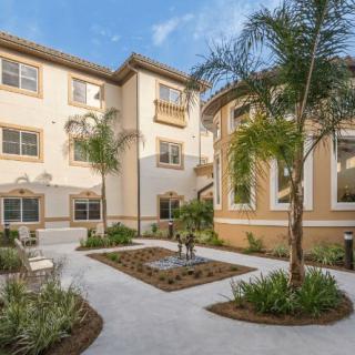 A sunny courtyard with palm trees in a modern apartment complex.