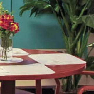 A dining table adorned with a vase of flowers, surrounded by indoor plants.