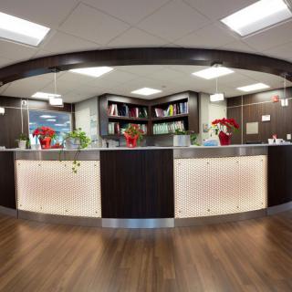 A modern office reception area with a sleek wooden desk, decorative plants, and bookshelves in the background.