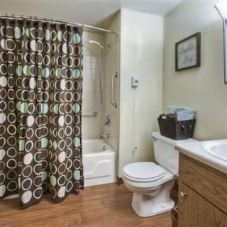 A clean and well-decorated bathroom with a patterned shower curtain and wooden flooring.