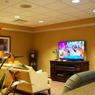 A cozy living room with a television, sofa, and decorative plants.