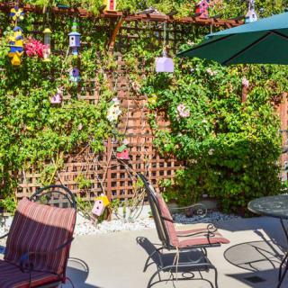 A cozy garden patio with chairs, a table, and decorative lights hanging on a vine-covered lattice.