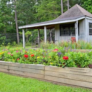 A quaint cabin surrounded by a vibrant raised flower bed in a lush garden setting.