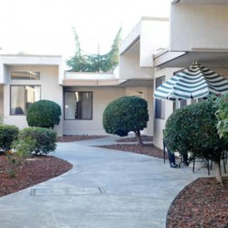A serene courtyard with a concrete walkway surrounded by trimmed bushes and buildings, featuring a patio umbrella.