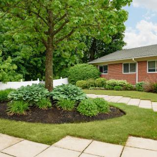 A well-maintained garden featuring a lush tree and vibrant landscaping surrounding a cozy home.