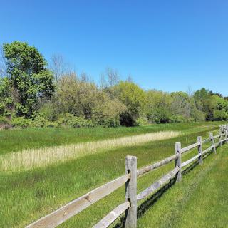 A peaceful landscape showcasing a vibrant green field bordered by a wooden fence under a clear blue sky.