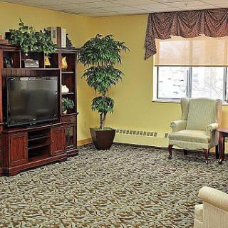 A cozy living room with a television, armchair, and indoor plants.