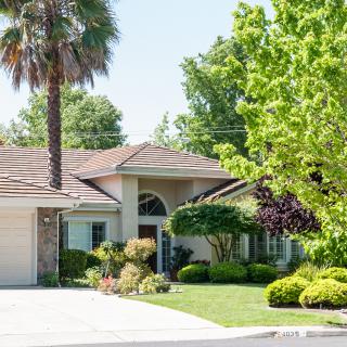 A suburban house with a well-maintained garden and driveway.
