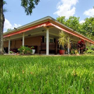 A charming home surrounded by lush greenery, showcasing a well-maintained outdoor space.