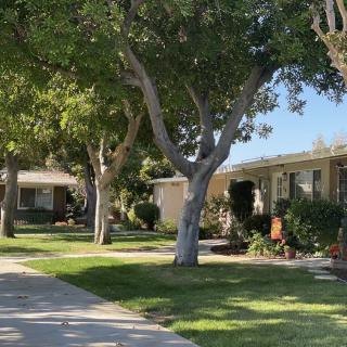 A peaceful suburban neighborhood with tree-lined sidewalks and well-maintained lawns.
