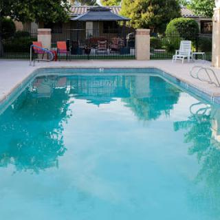 A serene backyard pool surrounded by lush greenery and inviting lounge chairs.