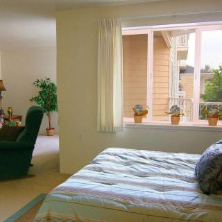 A bright and cozy bedroom with a large window allowing natural light to fill the space.