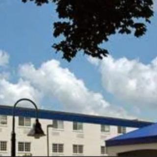 A building under a blue sky with fluffy clouds, alongside a lamp post and tree.